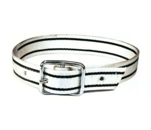 Halsriem nylon, leer met gesp - 100cm