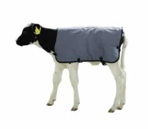 Kalverdekje standaard | 70cm