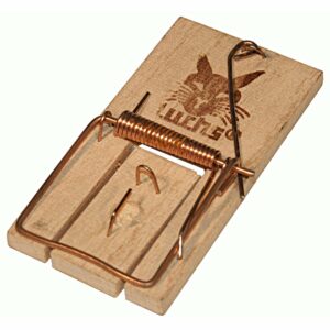 Muizenval Luchs hout