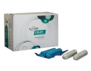 RumiLife CAL24 calcium bolus