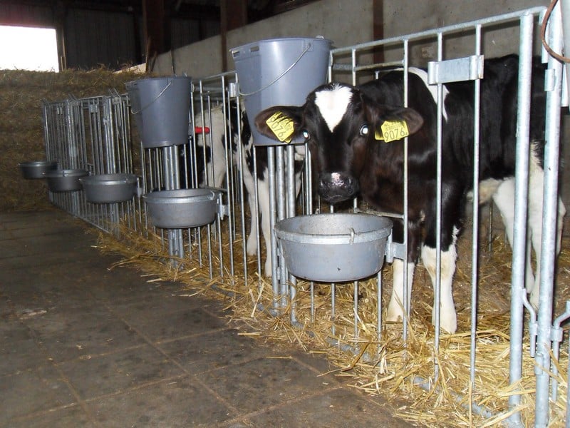 Emmerbeugel enkel voor fronthek - Afbeelding 2