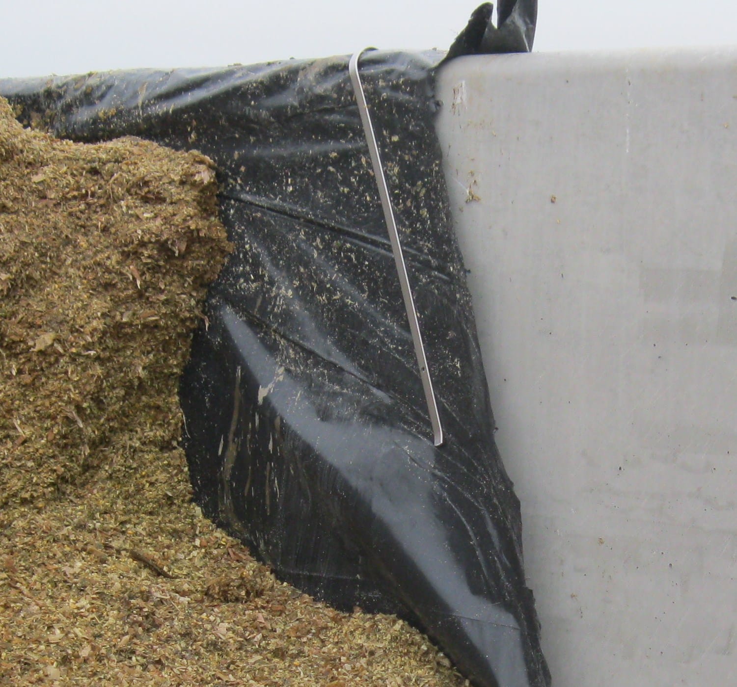 Wandfolieklem - 70cm - Afbeelding 2