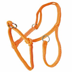 Halster koe nylon oranje