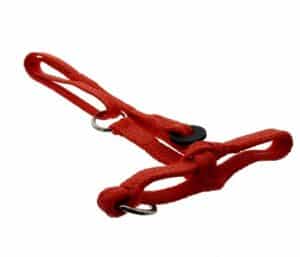 Halster pink nylon oranje