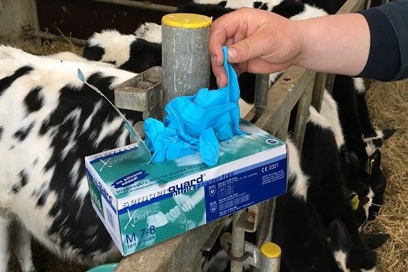 Melkhandschoen Semperguard - Afbeelding 2