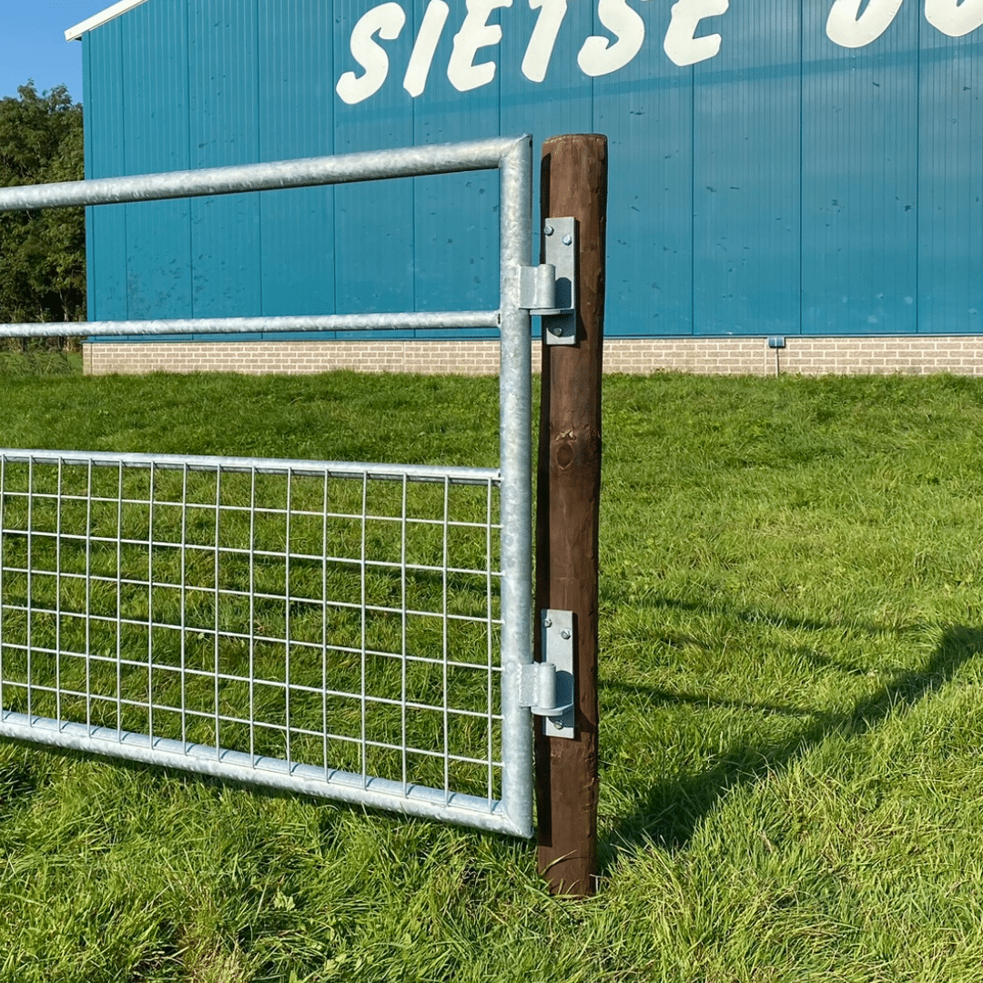 Landhek gegalvaniseerd gaas SJ - 2mtr - Afbeelding 2