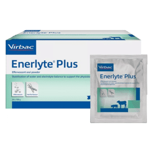 Enerlyte Plus | 24 x 100gr