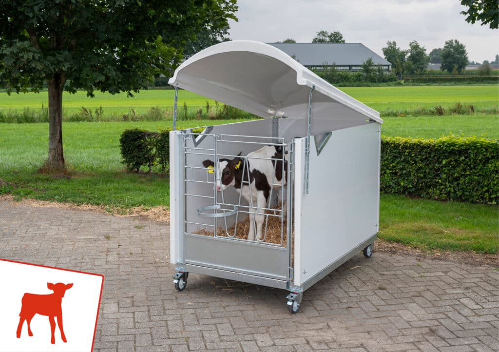 Wat is het beste kalverhok?-Sietse Jorna
