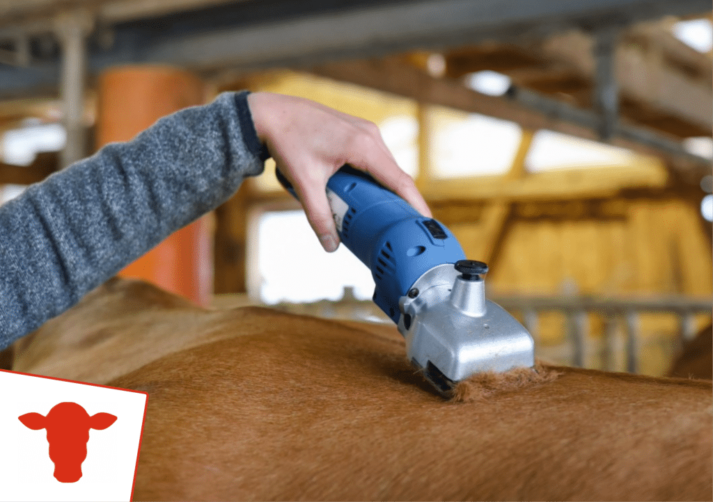 Veescheermessen slijpen-Sietse Jorna