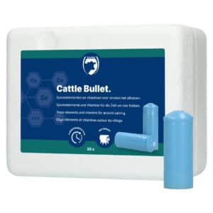 Cattle Bullet droogstand bolus | 20st