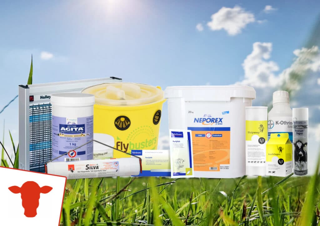 Vliegenbestrijding op de boerderij - Sietse Jorna