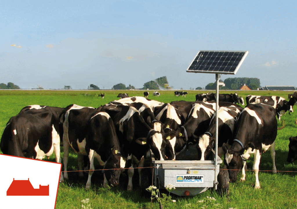 Weidedrinkbak voor koeien-Sietse Jorna