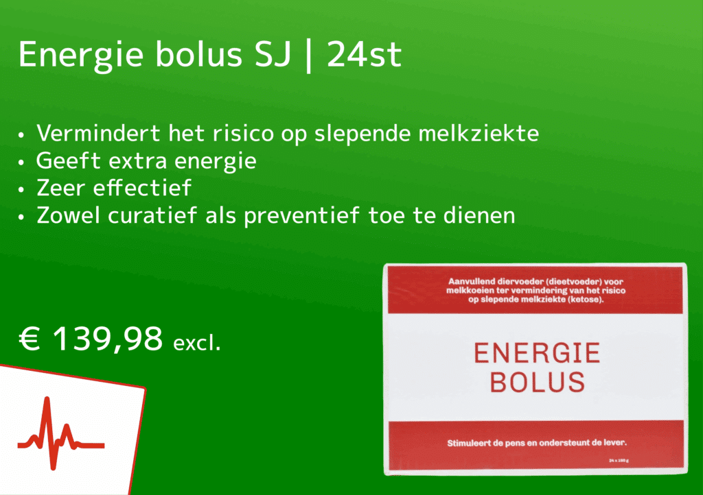 Energie-bolus SJ 24st - Sietse Jorna